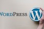 Build A Website Using Wordpress