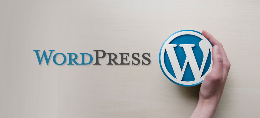 Build A Website Using Wordpress